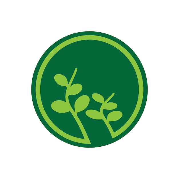 Moringa leaves icon vector illustration template design