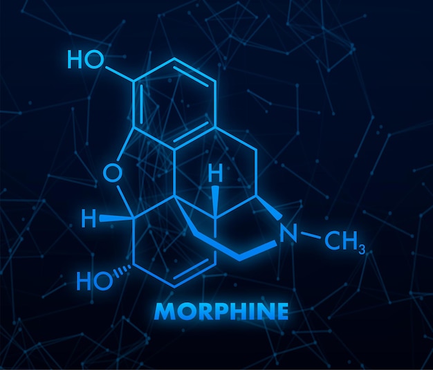 Morphine concept chemical formula icon label text font vector illustration