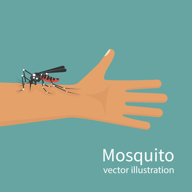 Vector mosquito bite on skin hand human insect bites man in arm template dangers zika virus drinks the bloo