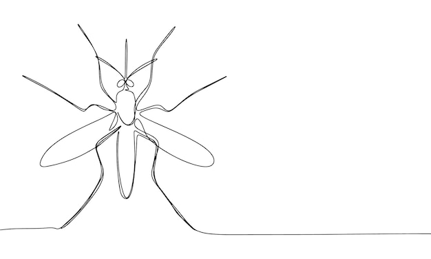 Mosquito one line continuous Line art Mosquito isolated on transparent background Hand drawn