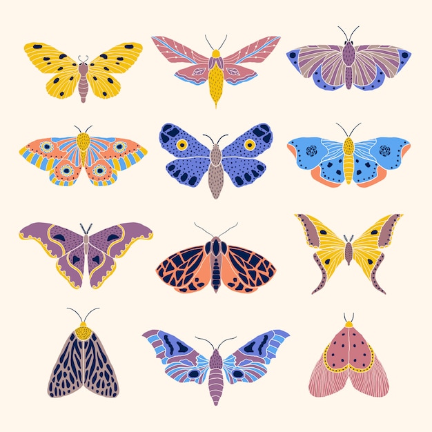 Moths and butterflies