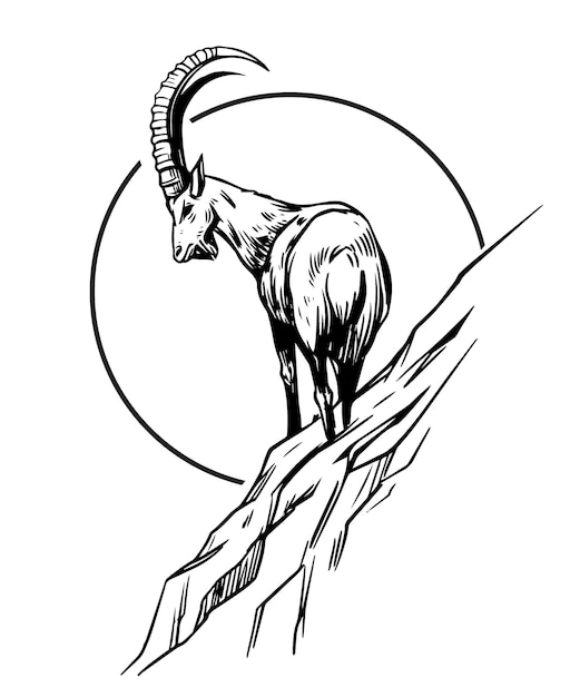 Mountain goat ibex capricorn Hand drawn vector sketch illustration