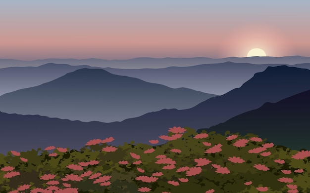 Mountain misty sunset panorama with flowers