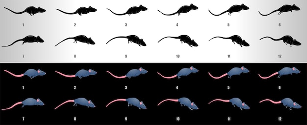 Vector mouse run cycle  animation sequence vector