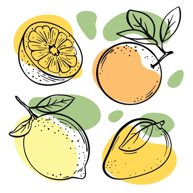 Multi fruits sketches with pastel orange, yellow and green color splashes illustrations