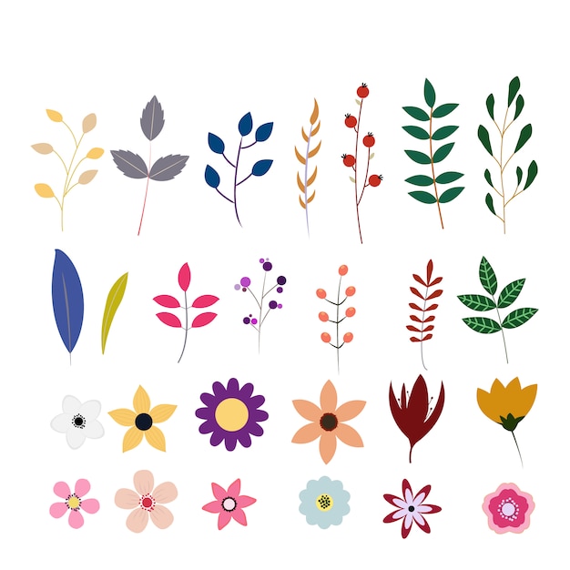 Multicolor flowers collection