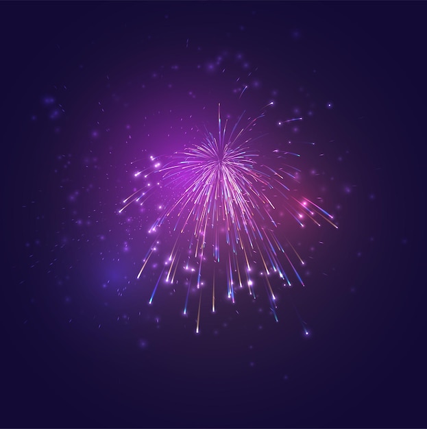 Multicolored fireworks, explosion of joy in the sky