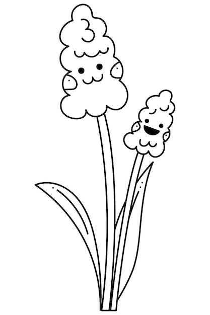 Muscari flower character doodle Hand drawn outline vector illustration