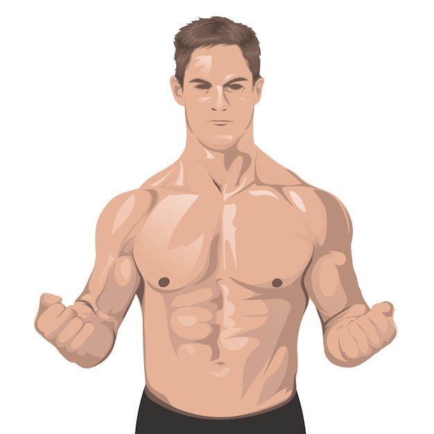 Muscle in human body vector illustration