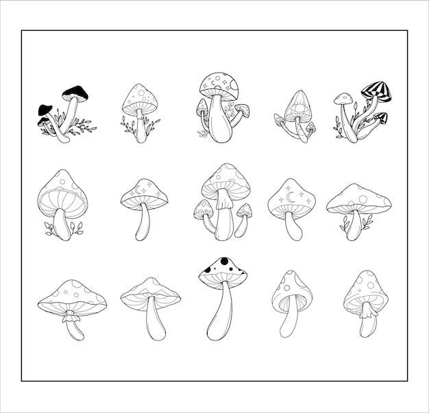 Mushroom Collection