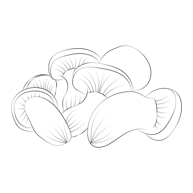 Mushroom coloring pages premium vector