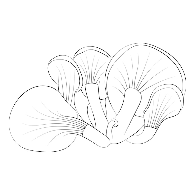 Mushroom coloring pages premium vector