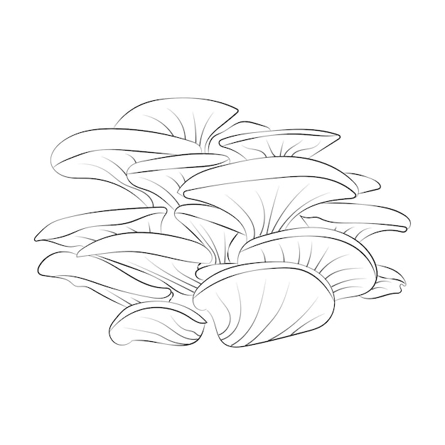 Mushroom coloring pages premium vector