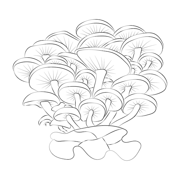 Mushroom coloring pages premium vector