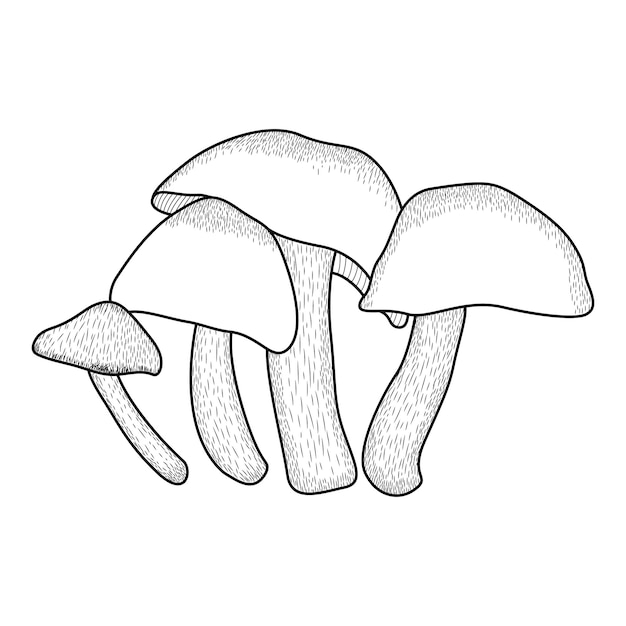 Mushroom coloring pages