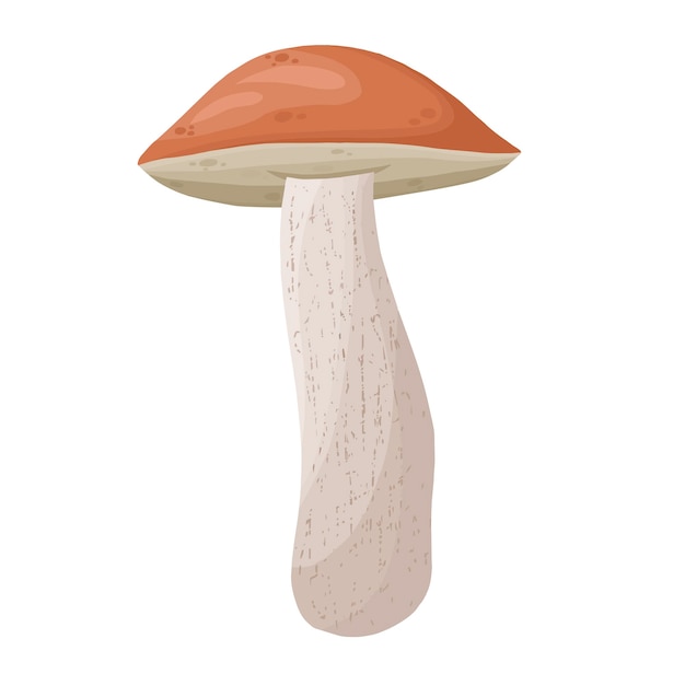 Mushroom, detailed colorful vector art mushroom.