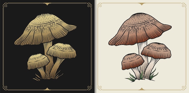 Mushroom draw vector illustration