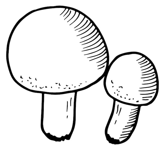 Mushroom engraving Hand drawn forest fungus sketch