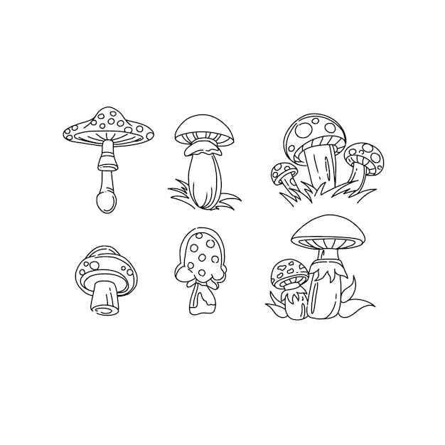 mushroom handrawn doodle illustration vector set