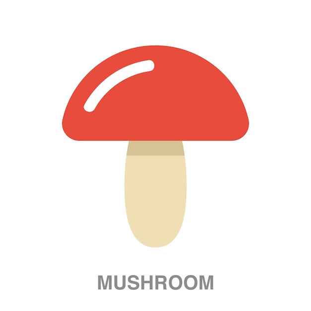 Mushroom illustration on transparent background