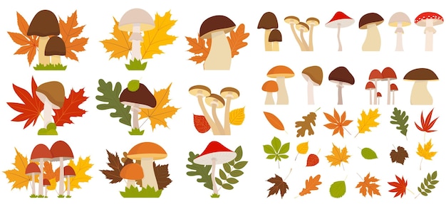 Mushroom leaves autumn set in flat style isolated vector