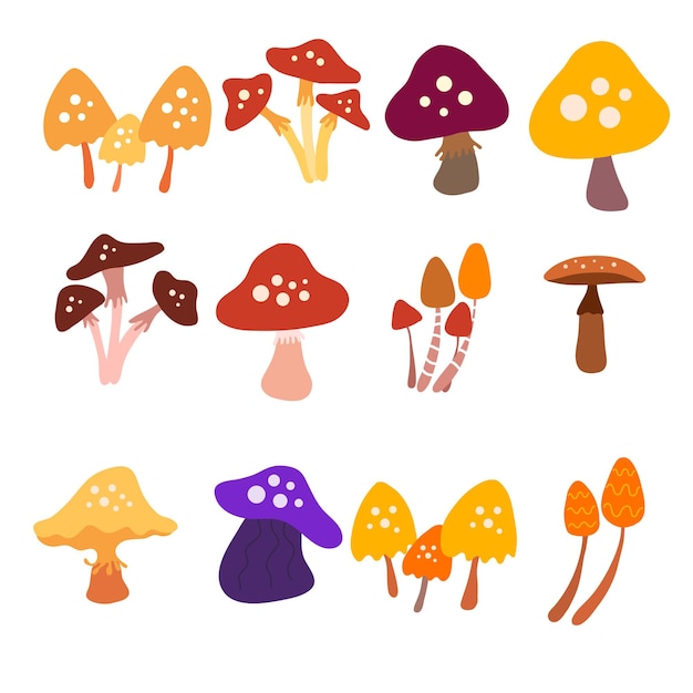 mushroom set vector for mushroom object vegetables and foliage