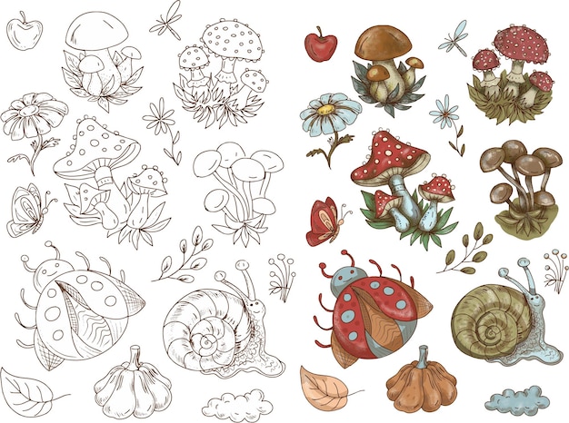 Mushroom stickers insects snail forest hand drawn set of separate elements cute cartoon coloring