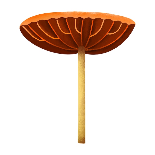 Mushroom vector illustrations isolated on white background