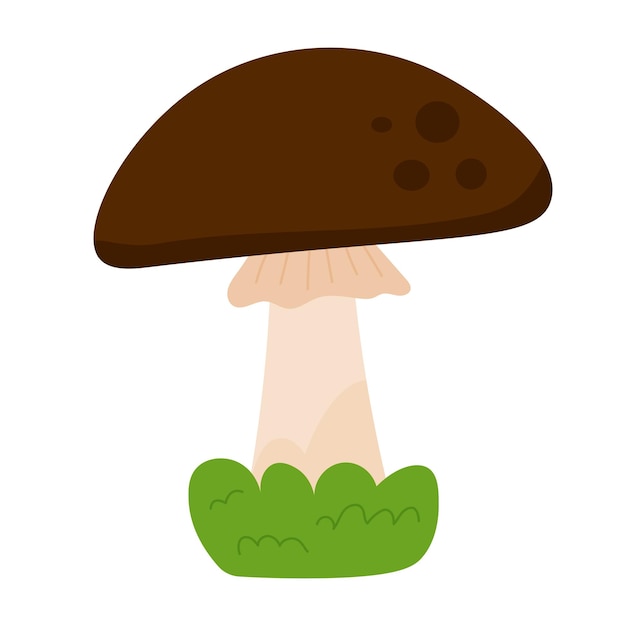 Mushroom with brown cap in the grass in cartoon style on white background