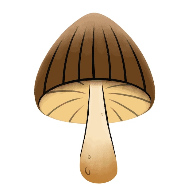 Mushroom with a brown hat stylized drawing by hand Textured edible mushroom