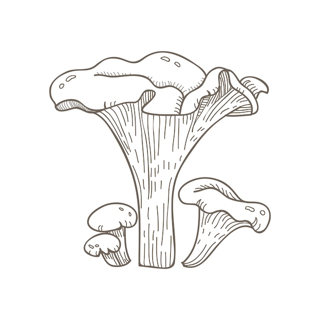 Mushroom