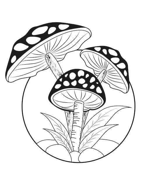 Mushrooms Coloring Pages Mushroom Outline Drawing Mushroom black and white vector