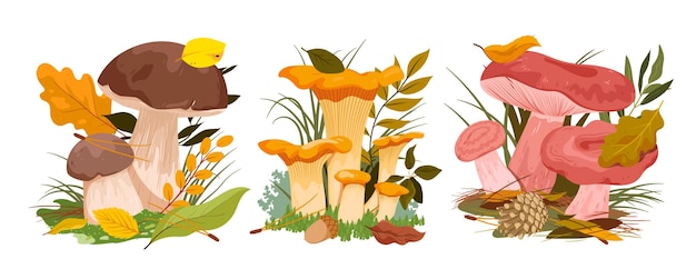 Vector mushrooms family growing in autumn forest soil with green leaf and twigs of trees set