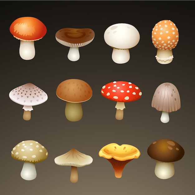 mushrooms icon set on dark background