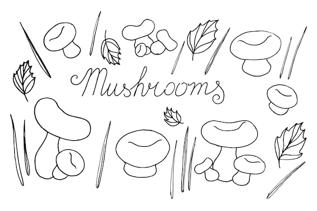 Mushrooms set