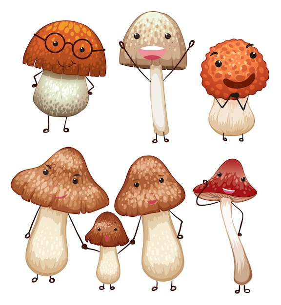 Mushrooms with happy face