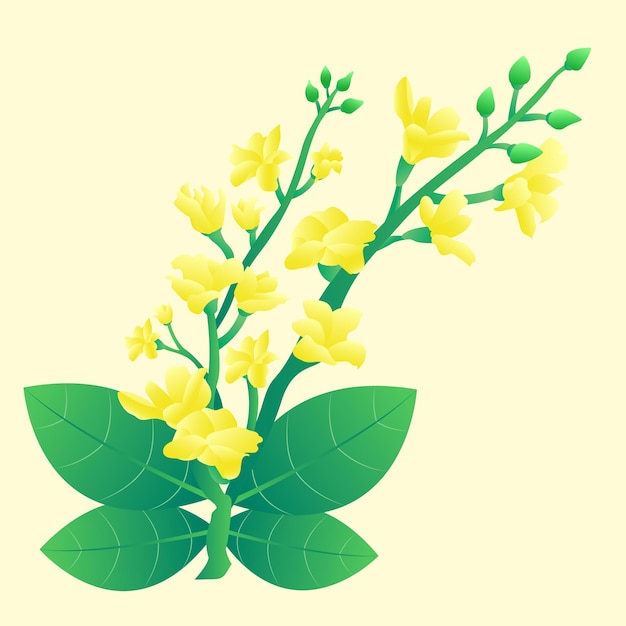 Myanmar splashing water traditional yellow flower illustration vector