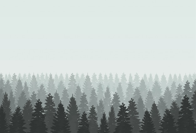 Mysterious foggy forest landscape