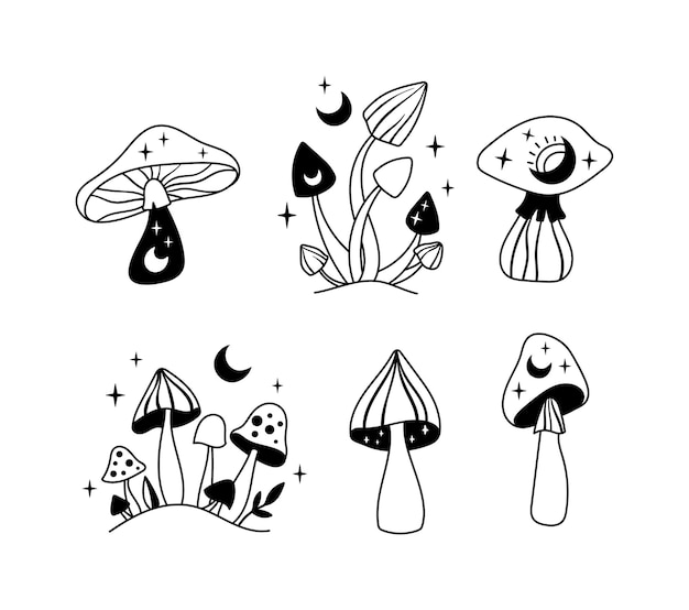 mystical boho mushrooms isolated clipart set magic line celestial mushroom moon and stars