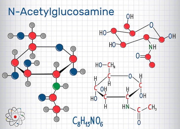 Vector nacetylglucosamine nag molecule