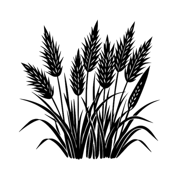 Napier grass vector illustration editable project