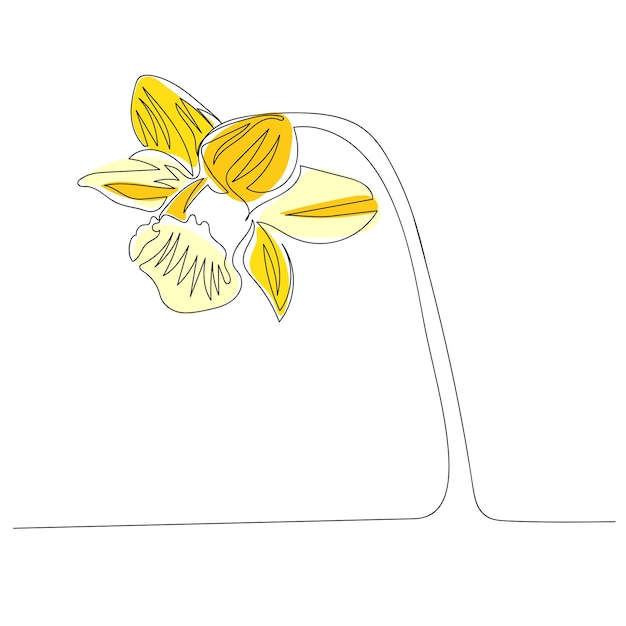 Narcissus one line drawing Continuous line flower Handdrawn minimalist illustration Vector