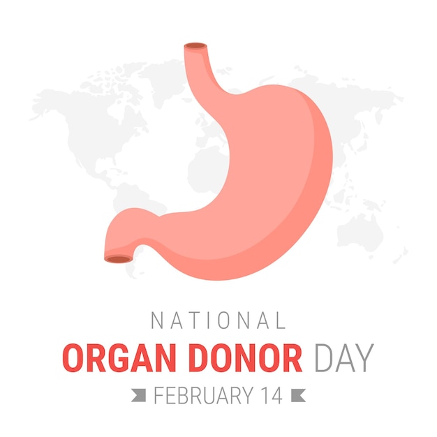 National organ donor day with Stomach