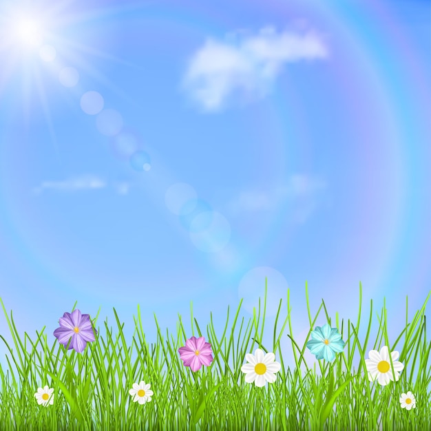 Natural background with blue sky, sun, clouds, rainbow, green grass and multicolored flowers