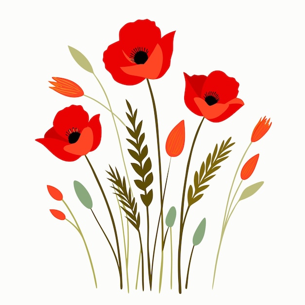 Vector a natural floral composition featuring bright red poppies and delicate wild grasses