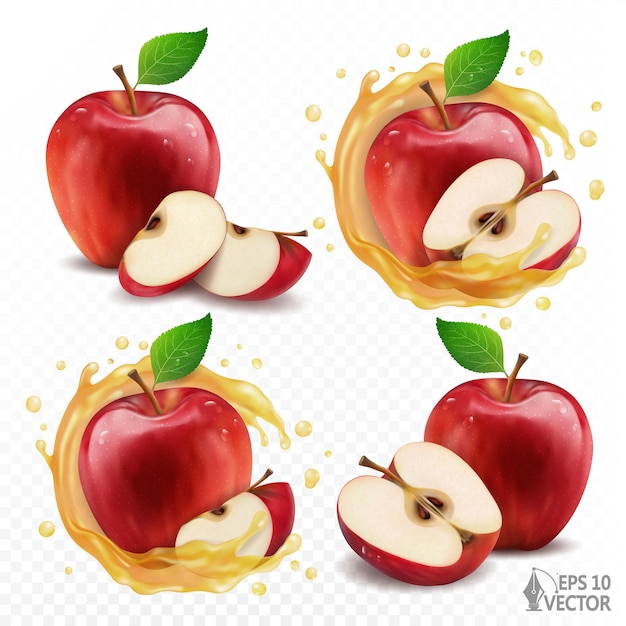 Natural fresh apples with halves and slices juicy transparent splash realistic vector illustration