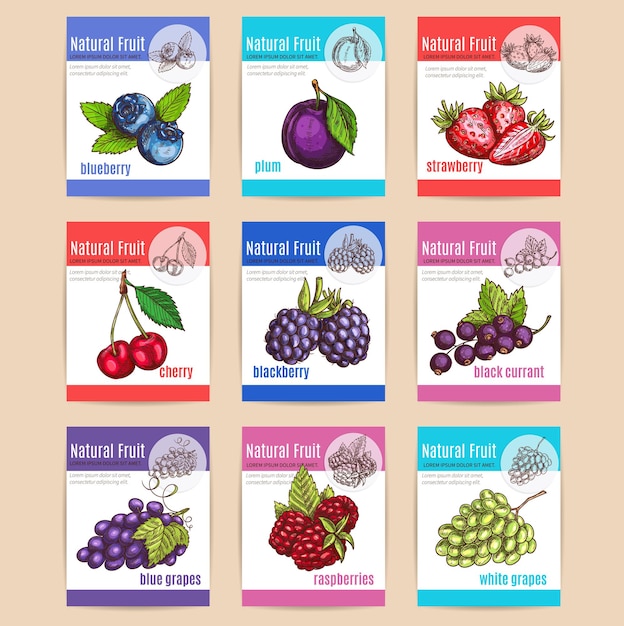 Natural fruits and berries with titles. Labels with vector sketch blueberry, plum, strawberry, cherry, blackberry, blackcurrant, blue grapes, raspberries, white grapes