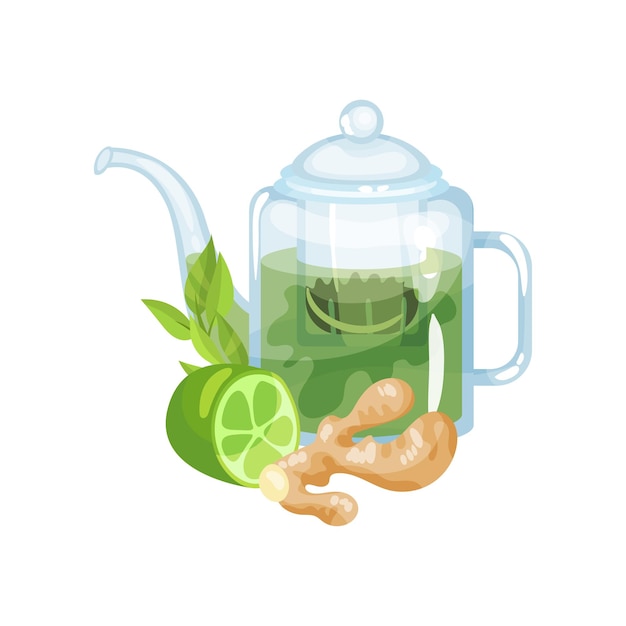 Natural green herbal tea in a glass transparent teapot with fresh lime and ginger vector Illustration