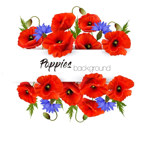 Natural greeting card with red poppies and blue cornflowers Vector