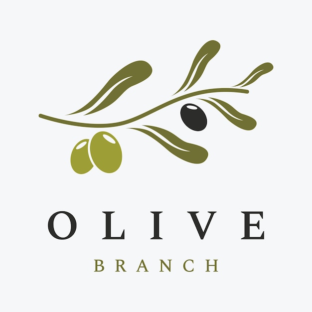 Natural herbal olive and oil logo design with olive branch Logo for business branding herbal medicine and spa